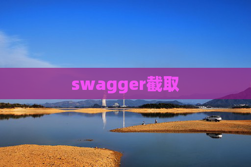 swagger截取